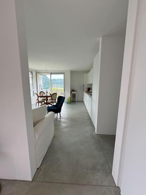 Neue Gartenwohnung Mit Sicht Auf Den Luganersee Ponte Tresa Exteriér fotografie